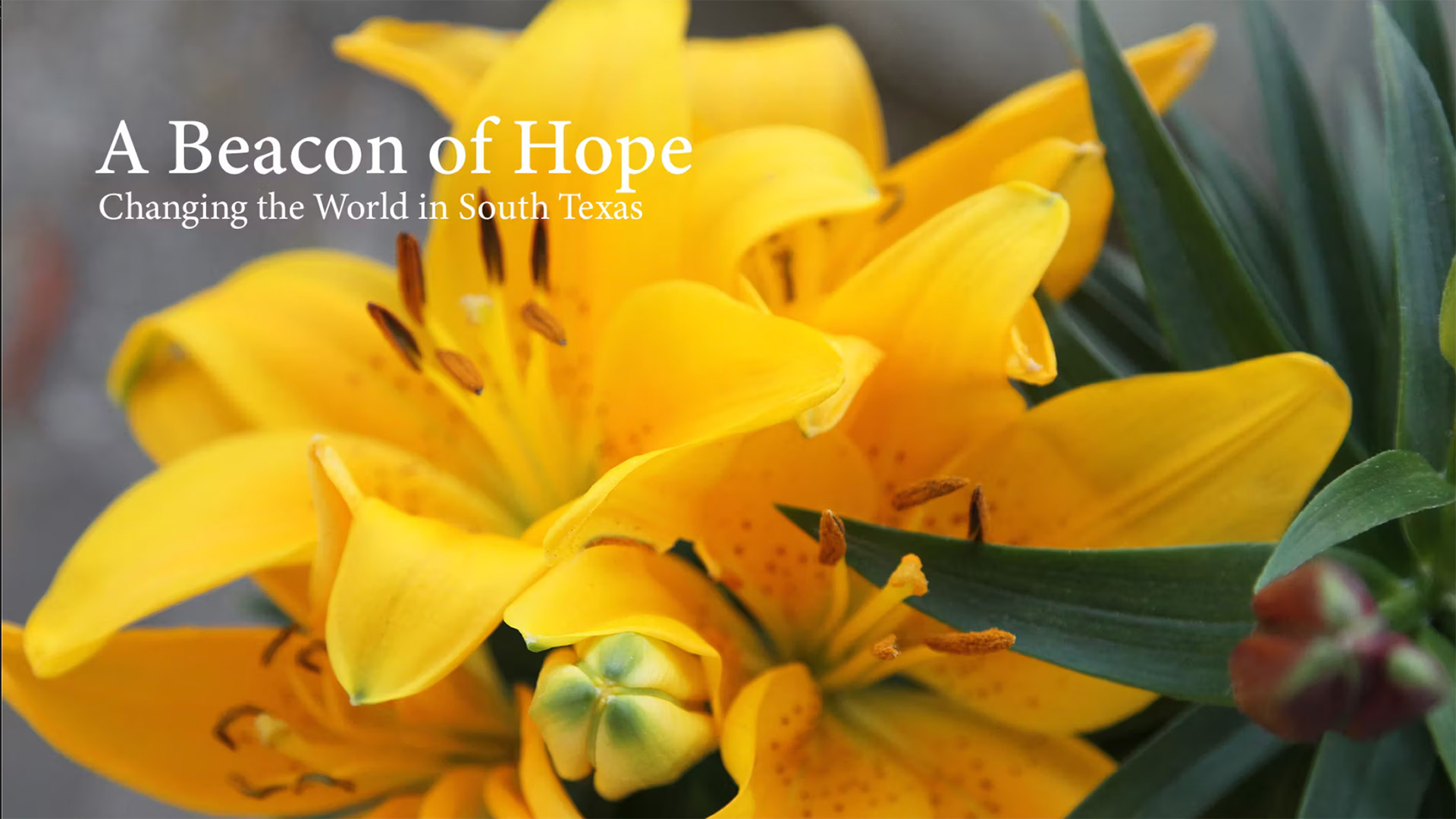A Beacon of Hope
